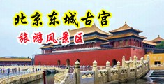 男人插女人小逼网站中国北京-东城古宫旅游风景区